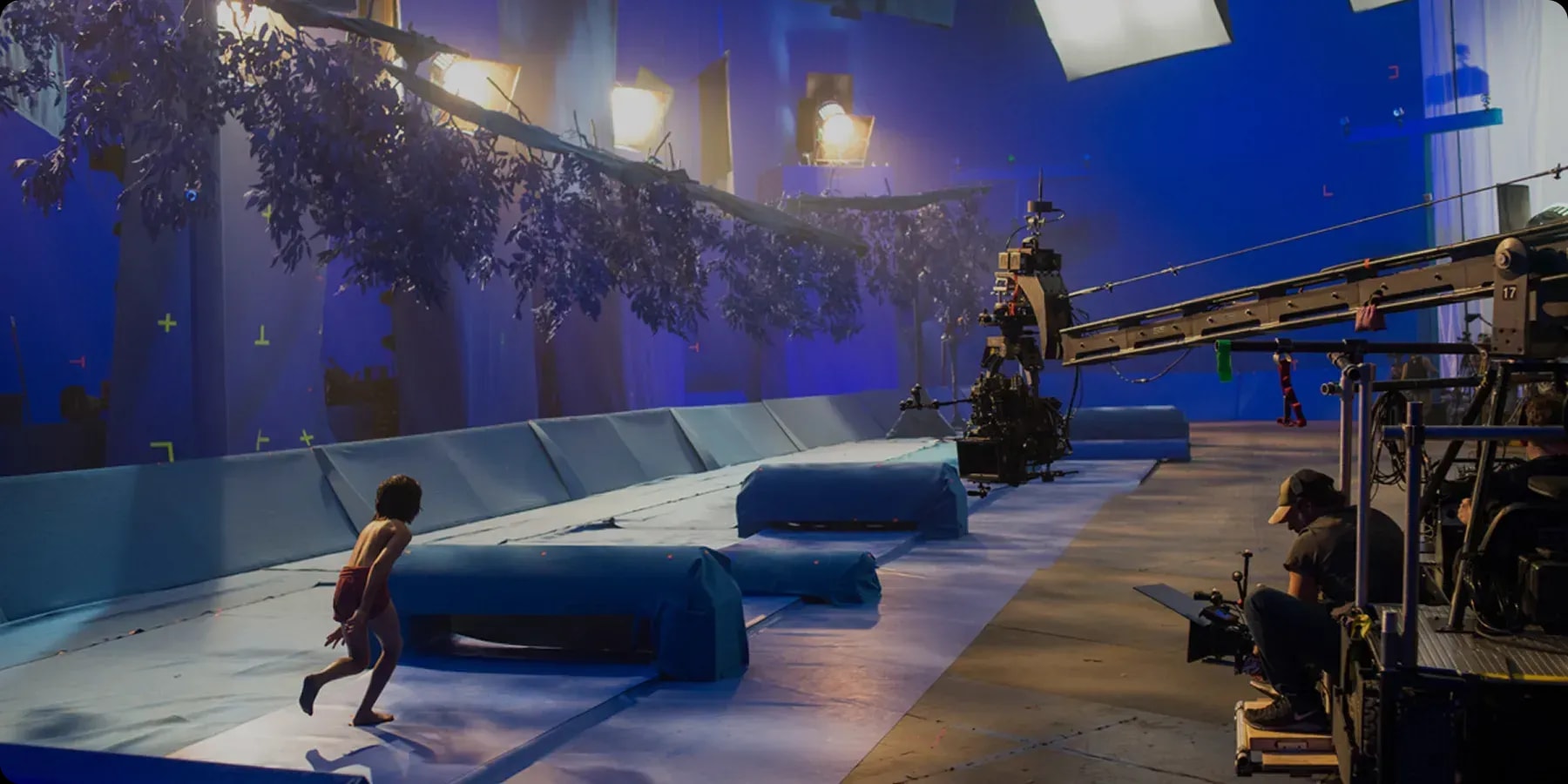 primex41 jungle book